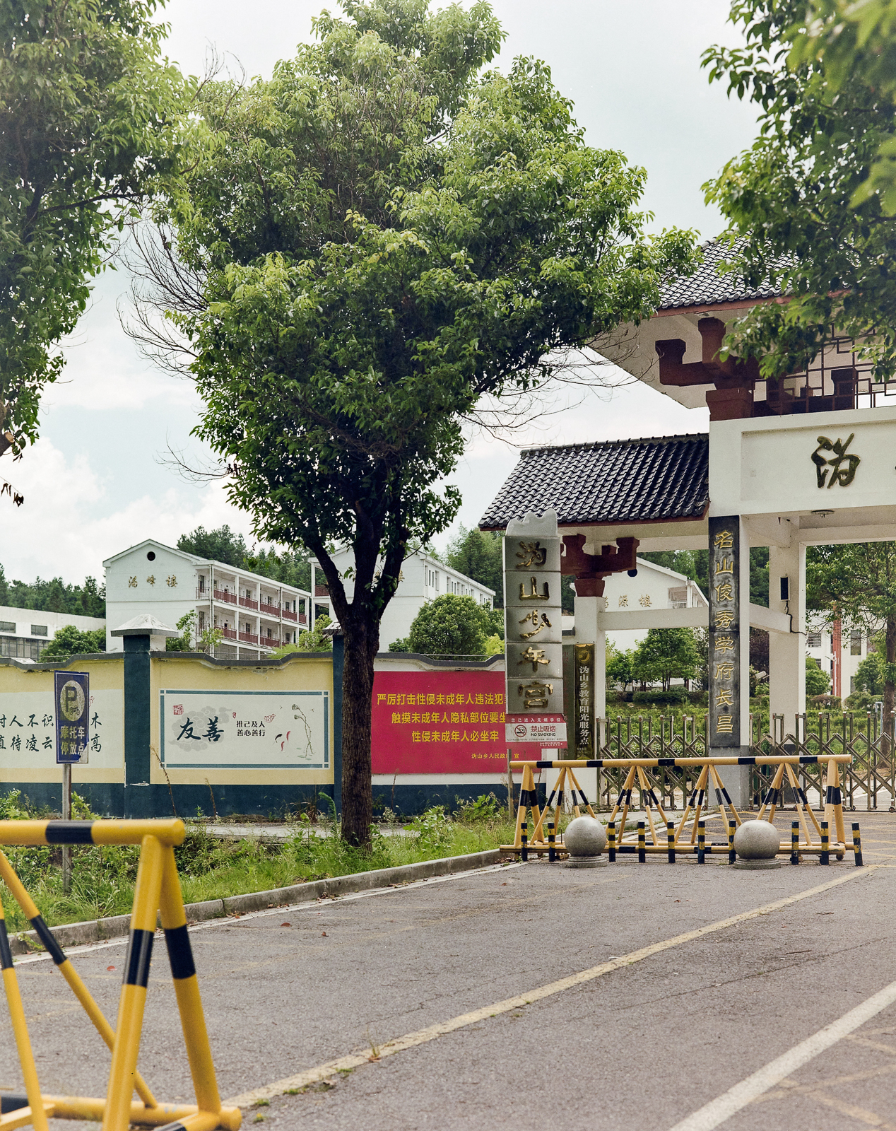忽视的景观 image 3
